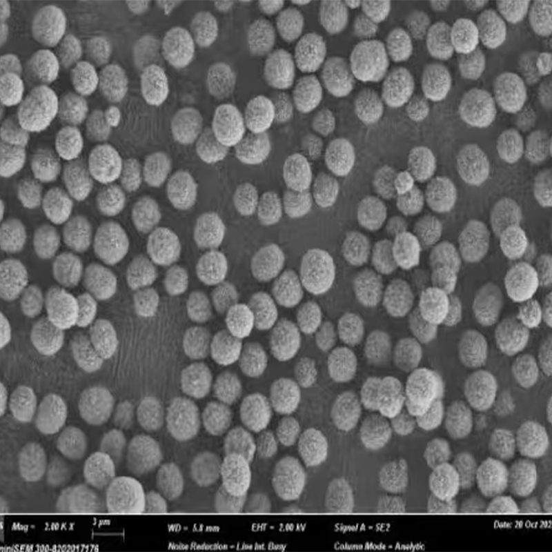 Silica Powder